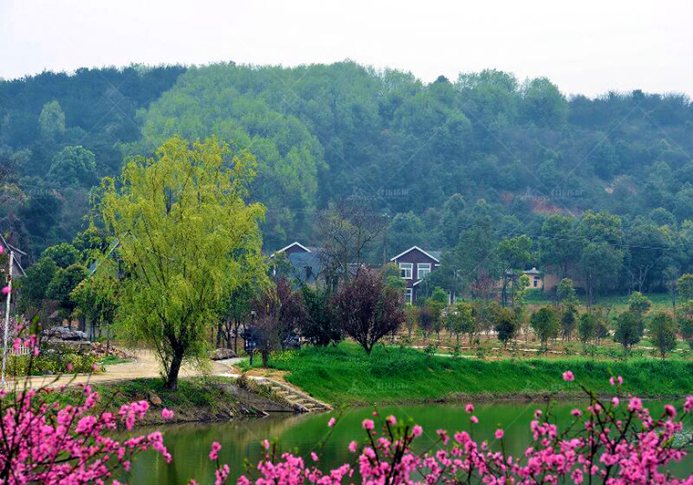 武漢蔡甸金龍水寨采摘旅游度假村